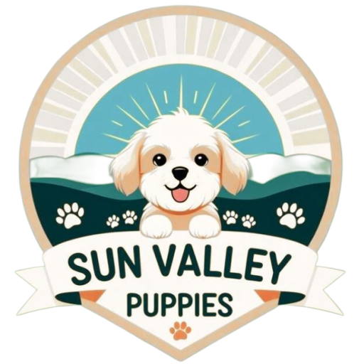 SUN VALLEY PUPPIES